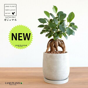 KW}ij Zg hbv^ 픫 STCY ynCh{[EMz ܂̖ ܂ K炷 K̎  A  ۔  RN[g O[ 