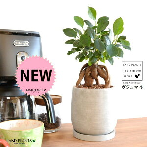 ijKW} Zg hbv^ 픫 STCY ynCh{[EMz ܂̖ ܂ K炷 K̎  A  ۔  RN[g O[ 