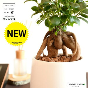 KW}ij Fhbv^ 픫 STCY ynCh{[EMzKW} K炷 K̎  ܂̖ A  ۔ Eh zCg  }bg 