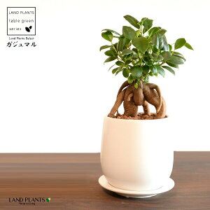 KW}ij Fhbv^ 픫 STCY ynCh{[EMzKW} K炷 K̎  ܂̖ A  ۔ Eh zCg  }bg 