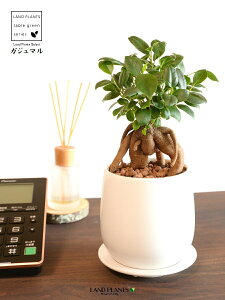 KW}ij Fhbv^ 픫 STCY ynCh{[EMzKW} K炷 K̎  ܂̖ A  ۔ Eh zCg  }bg 