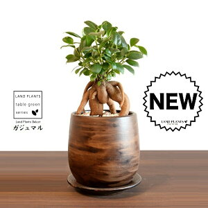 KW}ij Ebh yCg픫 STCY yVRӐ΁EMz ܂̖ KW} K炷 K̎  A  ۔  uE F   EH[