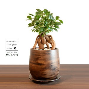 KW}ij Ebh yCg픫 STCY yVRӐ΁EMz ܂̖ KW} K炷 K̎  A  ۔  uE F   EH[