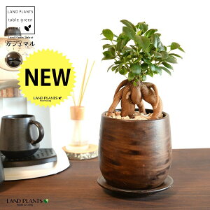 KW}ij Ebh yCg픫 STCY yVRӐ΁EMz ܂̖ KW} K炷 K̎  A  ۔  uE F   EH[