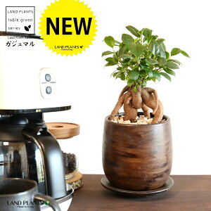 KW}ij Ebh yCg픫 STCY yVRӐ΁EMz ܂̖ KW} K炷 K̎  A  ۔  uE F   EH[