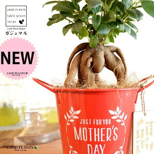 KW}ij Motherfs day uL oPc ԐF ؐv[gt y̓Mtg v[gz ܂̖ KW} K炷 K̎   bh F IW 