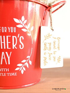 KW}ij Motherfs day uL oPc ԐF ؐv[gt y̓Mtg v[gz ܂̖ KW} K炷 K̎   bh F IW 