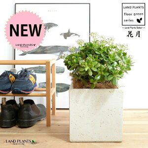 JlmiLiԌFJQcj F t@Co[ L[u^ 픫 yRRt@Co[z NbX |cPA A   ̂Ȃ t`xjxPC gٌc  FRP 