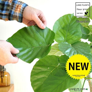 Ex[^i3DJ[uȂjF Eh 픫 LTCY y΁EMz zCg  퐻 A  c c A A  ی` Eh Ȗ͗l ϗt ϗtA ^ Ȃ 