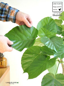 Ex[^i3DJ[uȂjF Eh 픫 LTCY y΁EMz zCg  퐻 A  c c A A  ی` Eh Ȗ͗l ϗt ϗtA ^ Ȃ 