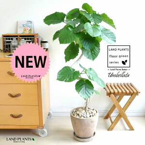 Ex[^i3DJ[uȂj F GbO^ Eh 픫 y΁EMz ϗt ϗtA ^ A  c c A A  x[W  Eh  f fĔ eRb^ 