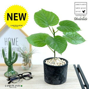 Ex[^iR`j F X|bg V_[^ eRb^ yVRӐ΁z ubN TCY A  c c ϗtA  zCg 