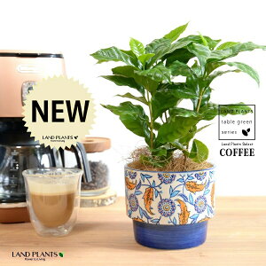 yJo[z R[q[̖ u[ h yCgvg it 픫 yRRt@Co[z  coffee R[q[mL c c ϗtA A A   IW zCg u