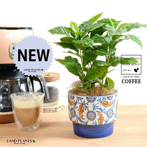 yJo[z R[q[̖ u[ h yCgvg it 픫 yRRt@Co[z  coffee R[q[mL c c ϗtA A A   IW zCg u