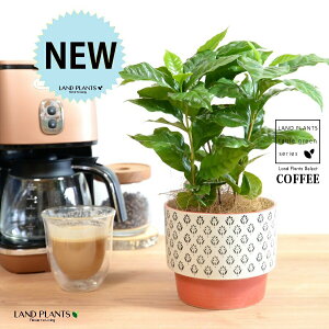 yJo[z R[q[̖ IW h yCgvg it 픫 yRRt@Co[z  coffee R[q[mL c c ϗtA A A   IW zCg 