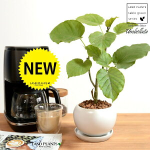 Ex[^iR`j F ی^ 픫 ynChEMz  zCg  {[ TCY A  c c ϗtA