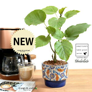 yJo[z Ex[^iR`j u[ h yCgvg it 픫 ynCh{[z ͗l    IW u[ zCg TCY A  c c ϗt