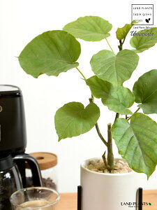 yJo[z Ex[^iR`j ACAX^ht 픫 F STCY ynCh{[EACAX^hz   X^h   IW ubN zCg TCY