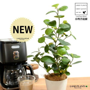 yz Ro{_CWij F vX`bN 4 yRRt@Co[z  zCg tBJX fgCfA  {_CW TCY A  c c ϗtA