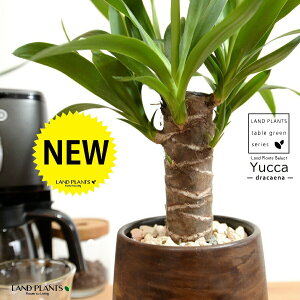 hZi ibJ FN̖؁j Ebh yCg 픫 yVRӐ΁EMz ł uE ؖ ؖڒ EH[ibg MKeBA E[c bJ bJ A   