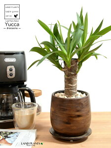 hZi ibJ FN̖؁j Ebh yCg 픫 yVRӐ΁EMz ł uE ؖ ؖڒ EH[ibg MKeBA E[c bJ bJ A   