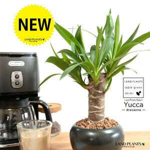 hZi ibJ FN̖؁j F  픫 ynChEMz F ubN  }bg MKeBA E[c bJ bJ A    ۔ {[ ϗtA 