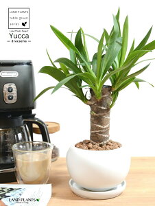 hZi ibJ FN̖؁j F ی^ 픫 ynChEMz F zCg MKeBA E[c bJ bJ A    ۔ {[ ϗtA ZW 