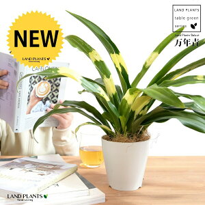 yz NFIgiDj 4 vX`bN F yRRt@Co[z _Ig Lc N ^ ^Abv N  XY g  Ԓdj ^Ju