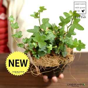 yz ACr[i_bNtbgj 4 vX`bN F yRRt@Co[z ubN Aq Ђ Ɗ _bN tbg  wf Ld^ ؒӑ   Aؔ Jo[ v 