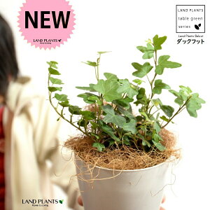 yz ACr[i_bNtbgj 4 vX`bN F yRRt@Co[z zCg Aq Ђ Ɗ _bN tbg  wf Ld^ ؒӑ   Aؔ Jo[ v 