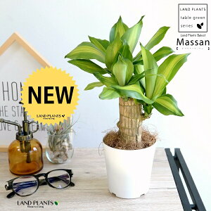 yz hZii}bTFK̖؁j 4 F vX`bN yRRt@Co[z zCg}bTQAi }bTMAi EPcWA  v c c ϗtA 