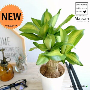 yz hZii}bTFK̖؁j 4 F vX`bN yRRt@Co[z zCg}bTQAi }bTMAi EPcWA  v c c ϗtA 