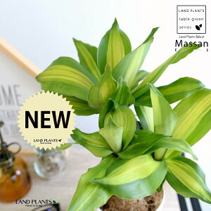 yz hZii}bTFK̖؁j 4 F vX`bN yRRt@Co[z zCg}bTQAi }bTMAi EPcWA  v c c ϗtA 