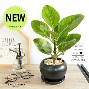 yiz AeV[}ij F  픫 yVRӐ΁EMz  ubN AeB[V} AeBbV} AeV} oGK[^  Ft t͗l  A  c c