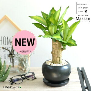 hZii}bTFK̖؁j F  픫 yF΁EMz ubN }bTQAi }bTMAi EPcWA   c c  ϗt ^ p  N̗ǂ 