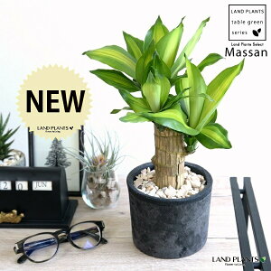 hZii}bTFK̖؁j F X|bg V_[^ 픫 yVRӐ΁z ubN }bTQAi }bTMAi EPcWA   c c Eh ϗtA 