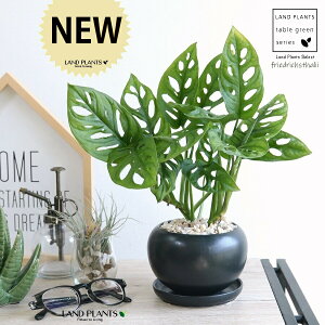 }hJYij F  픫 yVRӐ΁EMz  ubN t[hqX^[[ zECVE Xe JY }hJd  픫  c c ی`  {[ 