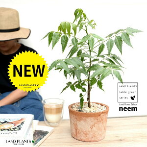 ~Nj[i̖؁j F X|bg V_[^ 픫 yVRӐ΁z uE Ղ̖ j[ A j[IC xh ChZ_ AUWN` AAU