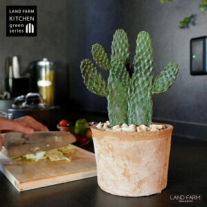 T{e 2F inGXqFX~G{Vj 2F  F X|bg V_[^ 픫 yVRӐ΁z uE IW JN^X oUCT{e  A 2{ A  f 