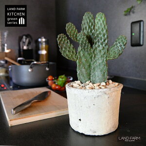 T{e 2F inGXqFX~G{Vj 2F  F X|bg V_[^ 픫 yVRӐ΁z zCg JN^X oUCT{e  A 2{ A  f eRb