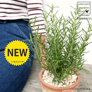 [Y}[ F X|bg V_[^ 픫iVRӐ΁j n[u  A  f eRb^  uE  ی`  ĕJ[h