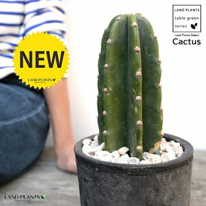 T{eiT{eF1{j F X|bg V_[^ 픫iVRӐ΁j 1F T{e A gQiVT{e ȂT{e JN^XA  f eRb^  u