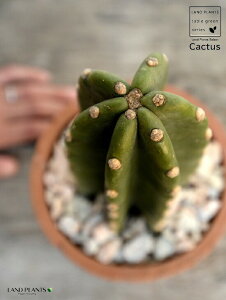 T{eiT{eF1{j F X|bg V_[^ 픫iVRӐ΁j 1F T{e A gQiVT{e ȂT{e JN^XA  f eRb^  u