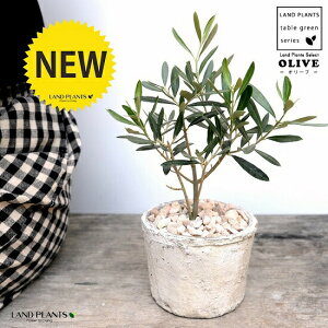 I[u FiAeB[NzCgj X|bg V_[^ 픫iVRӐ΁j I[u̖ I[ K̖ ̖ A  f eRb^  zCg  ی` ϗtA 