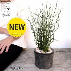 ZCiZC\Ej F X|bg V_[^ 픫iVRӐ΁j ZC a C COT A  f eRb^  ubN  ی` ϗtA A 