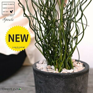 ZCiZC\Ej F X|bg V_[^ 픫iVRӐ΁j ZC a C COT A  f eRb^  ubN  ی` ϗtA A 