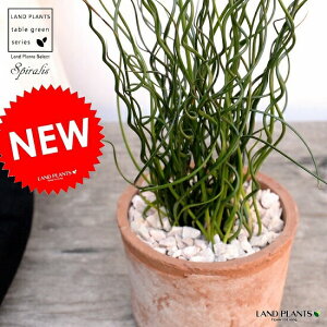 ZCiZC\Ej F X|bg V_[^ 픫iVRӐ΁j a C COT ZC 鐫A A  f eRb^  uE  ی` ϗtA A 