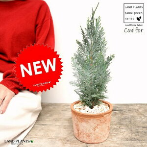 RiXOEJiRjt@[j F X|bg V_[^ 픫iVRӐ΁j RiX qmL NX}Xc[ V{c[ jt A  f eRb^  u