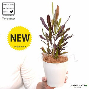 yz hhiGAivvAj 4 F vX`bNiRRt@Co[j vvA I[XgAvc I[W[vc jt rXR[T BXR[T A c c 