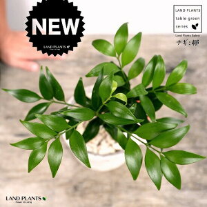 iMij F X|bg V_[^ 픫iVRӐ΁j iM̖  FOR _ A  f eRb^  zCg ݃J[  ی`  ĕJ[h